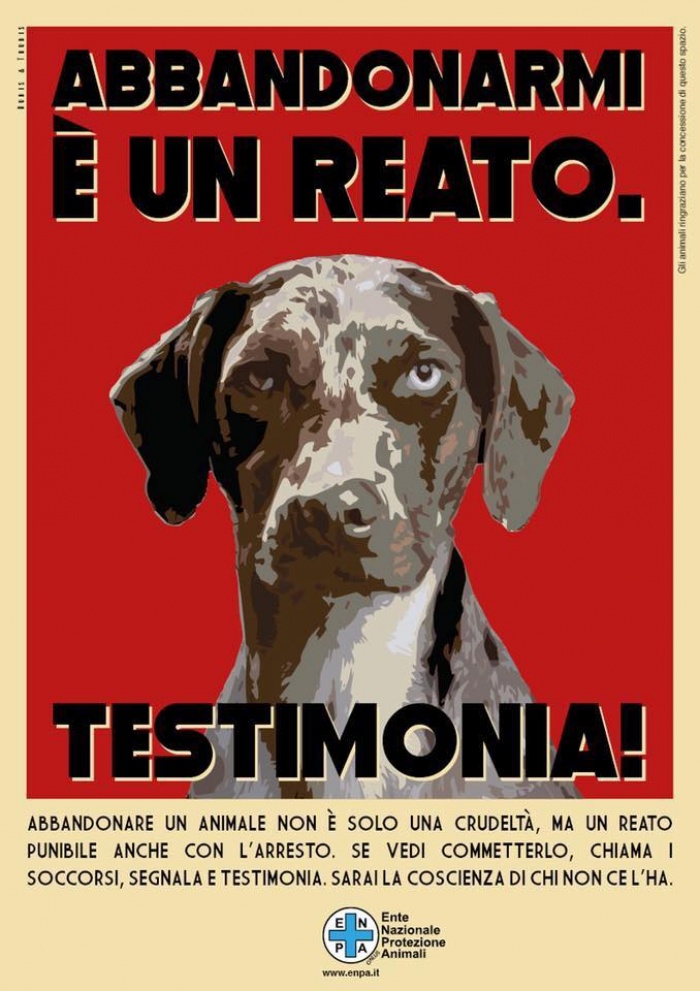 SABATO SI SCENDE IN PIAZZA CONTRO L'ABBANDONO