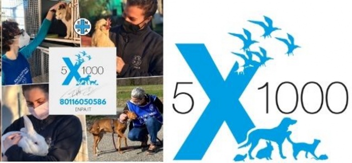 Dona il tuo 5x1000 a ENPA