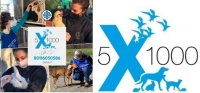 Dona il tuo 5x1000 a ENPA