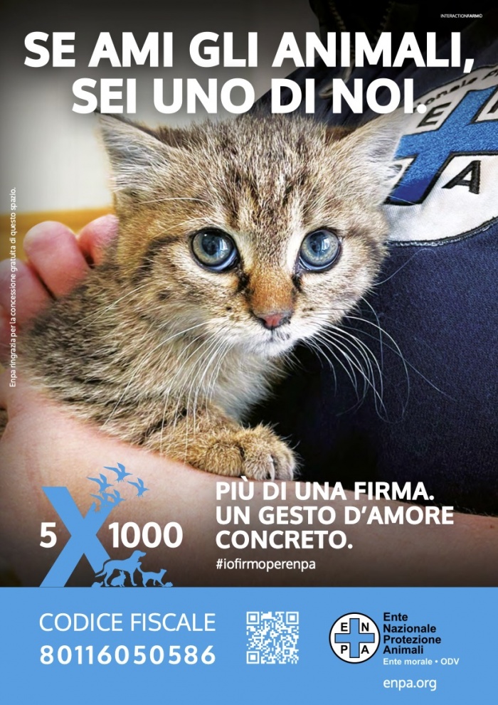 SE AMI GLI ANIMALI SEI UNO DI NOI