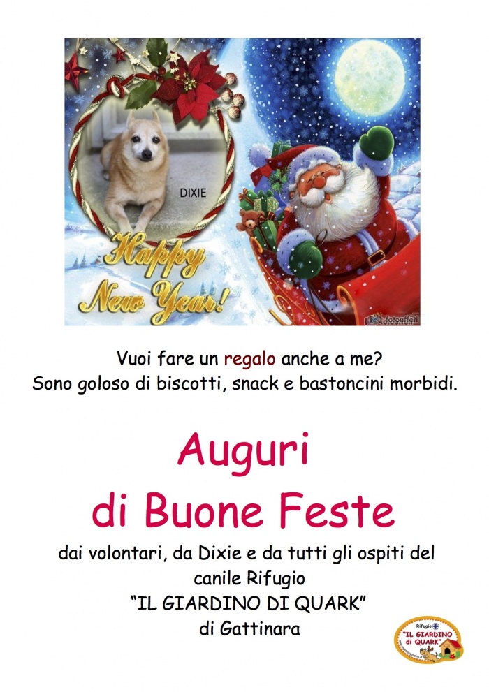 AUGURI DI BUONE FESTE