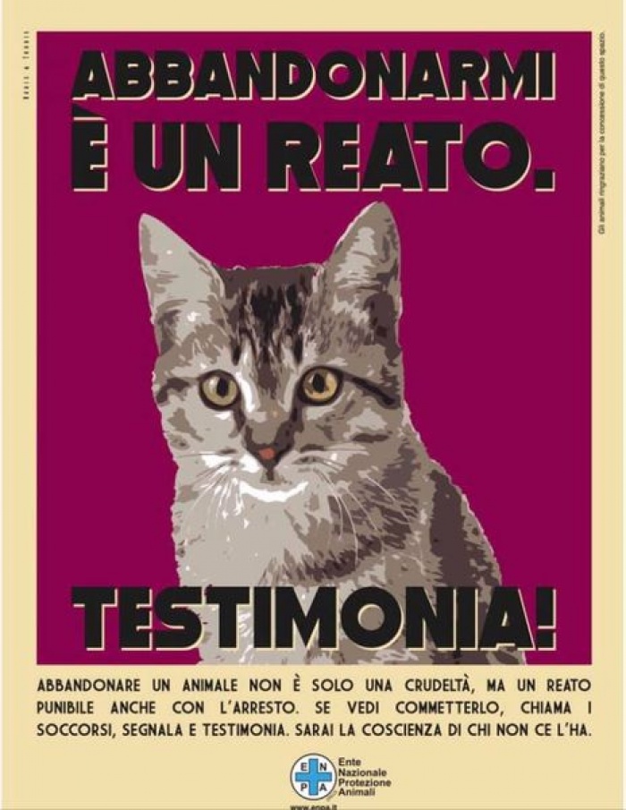 GIORNATE ANTI ABBANDONO - 4 LUGLIO 2021