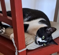 In ricordo della mamma di Aruba