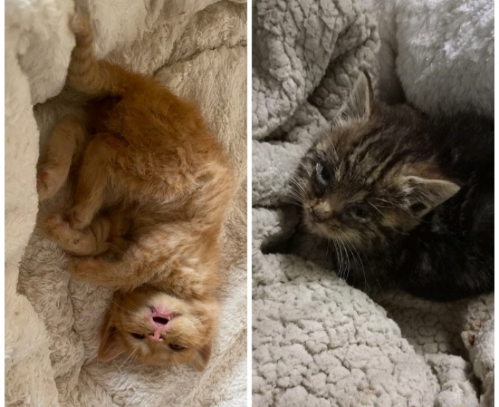 Ogni vita è importante.