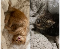 Ogni vita è importante.