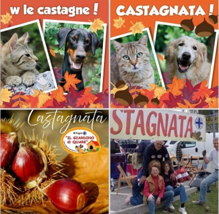E' tempo di castagnate !