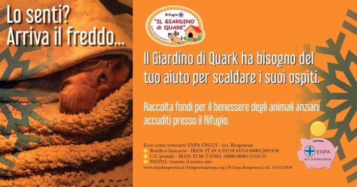 RACCOLTA FONDI PER IL BENESSERE DEGLI ANIMALI ANZIANI ACCUDITI PRESSO IL RIFUGIO