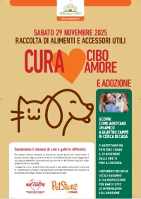 Raccolta cibo