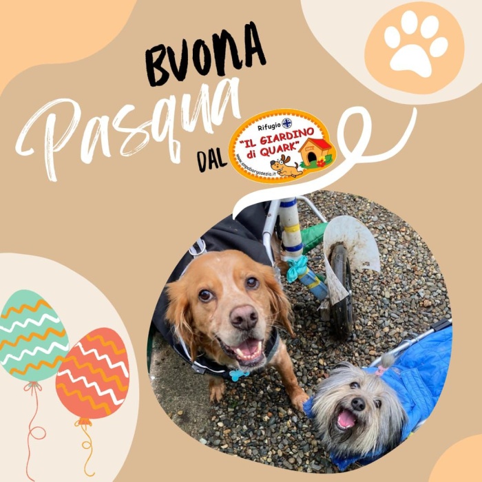 Un augurio Speciale di Buona Pasqua