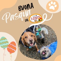 Un augurio Speciale di Buona Pasqua
