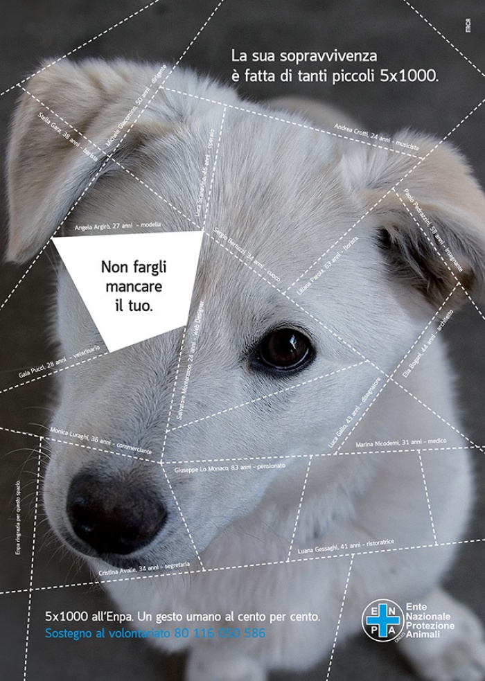 5x1000 all'Enpa. Un gesto umano al cento per cento