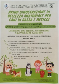 Prima dimostrazione di bellezza amatoriale per cani - VALDUGGIA  DOMENICA 18 GIUGNO