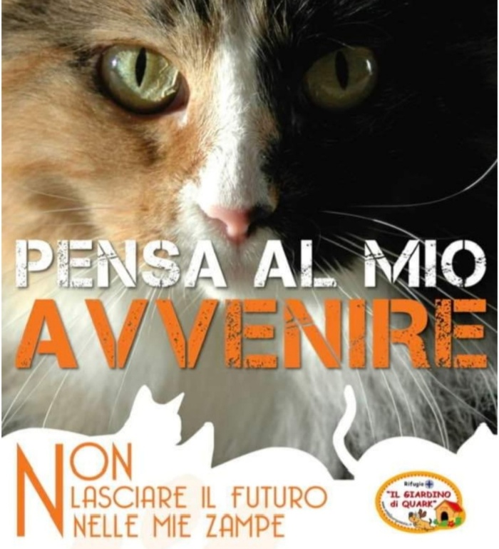 Sterilizzare è una scelta responsabile