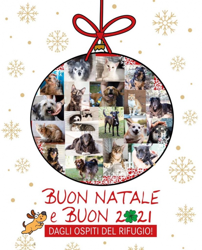 AUGURI DI BUONE FESTE