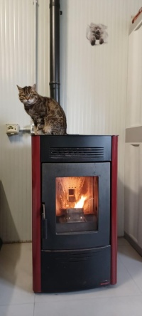 Chi ci da una zampa?