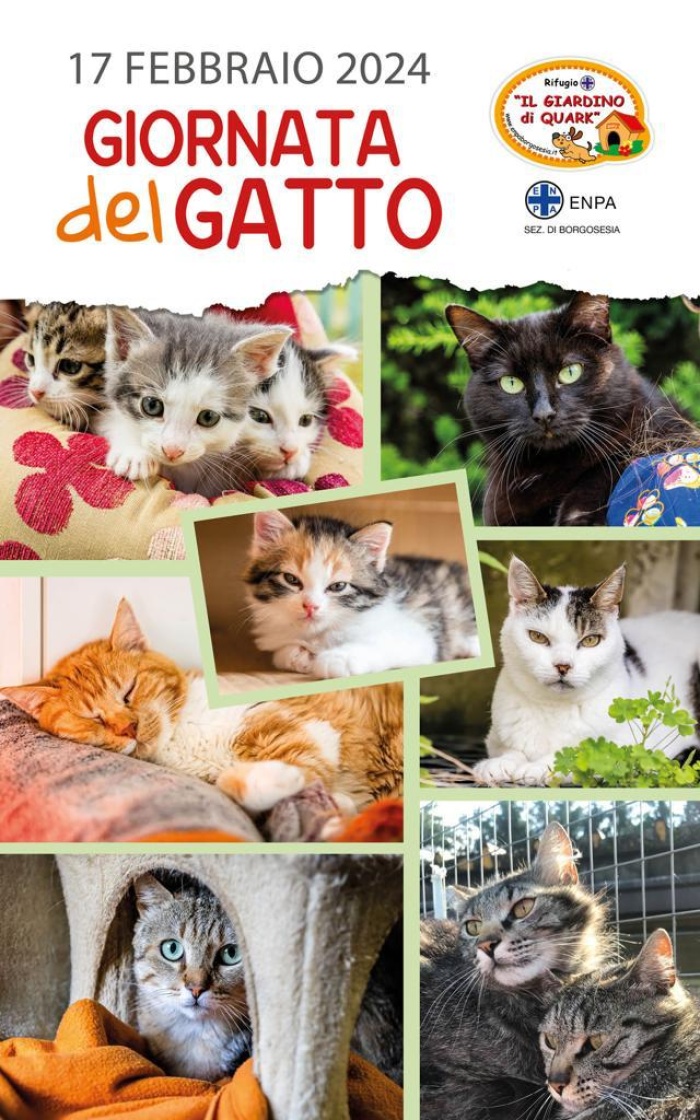 Festa del Gatto 17 febbraio 2024