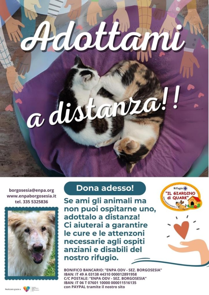 Aiuta il nostro Rifugio! Adotta a distanza