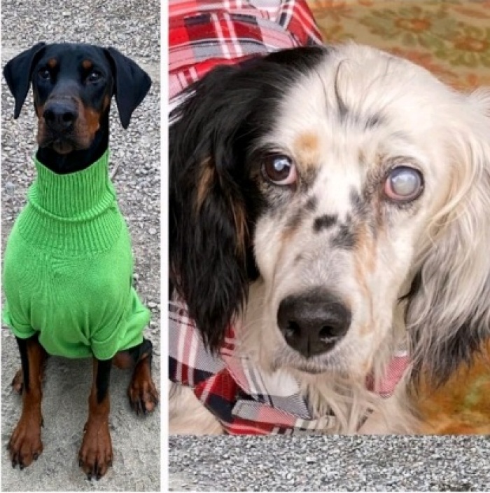 Un po' di bilanci...