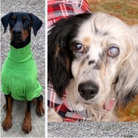 Un po&#039; di bilanci...