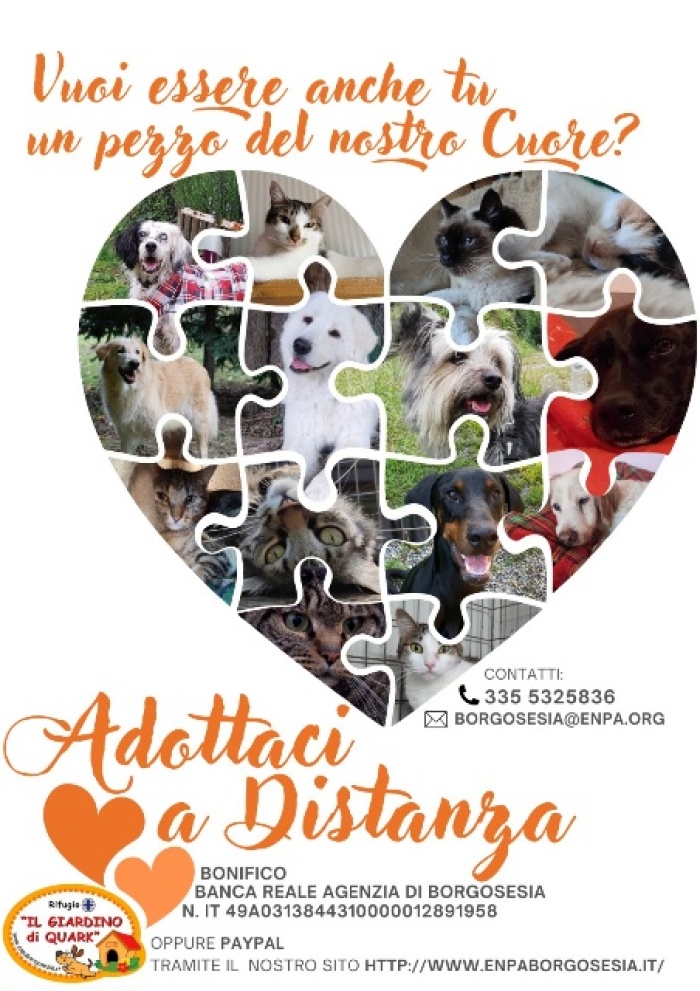Vuoi essere anche tu un pezzo del nostro cuore?Adottaci a distanza!
