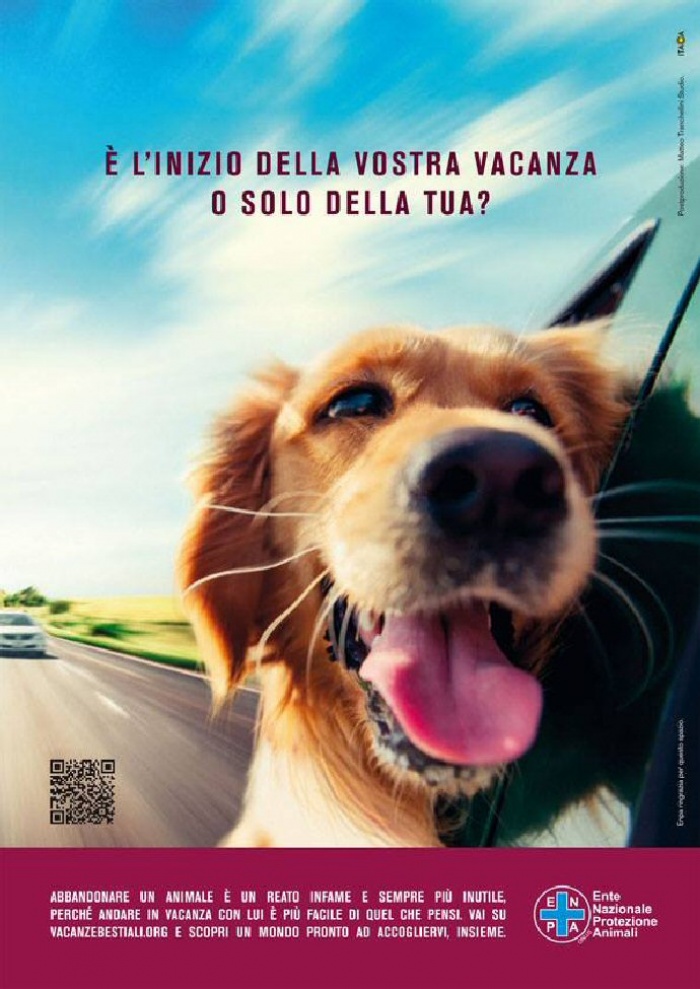 Campagna anti abbandono 2016