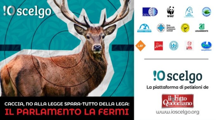 Firma anche tu la petizione: Caccia, no alla legge spara-tutto della Lega
