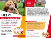 UNA NUOVA CUCCIA PER JOE