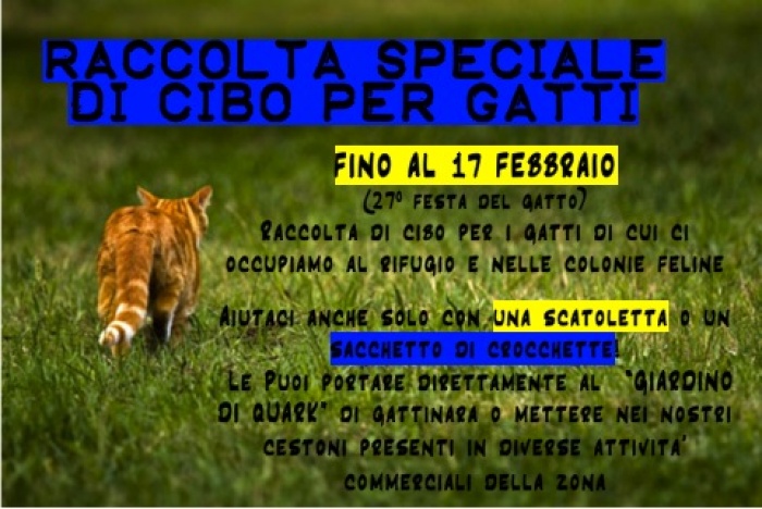 Raccolta speciale di cibo per gatti