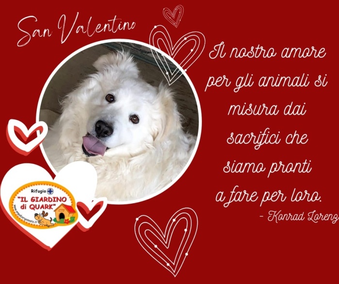 A San Valentino fai un gesto d'Amore