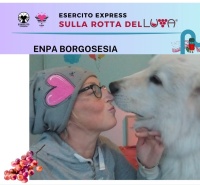 Festa dell&#039;Uva  Gattinara,settembre 2025