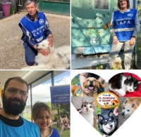 Festa dell&#039;uva 2025