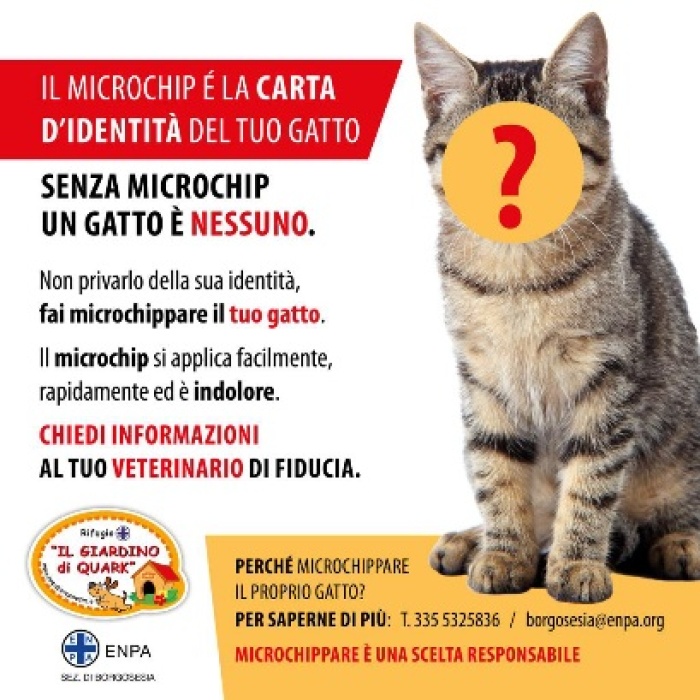 Fai microchippare il tuo gatto! Campagna Enpa Borgosesia