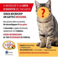 Microcippare è  una scelta responsabile