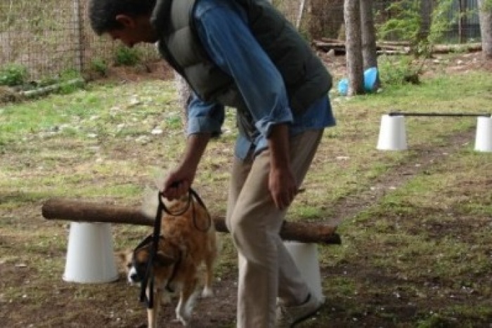 Comprendere per educare