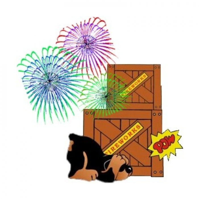 No ai petardi e ai fuochi d&#039;artificio!