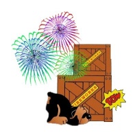 No ai petardi e ai fuochi d'artificio!