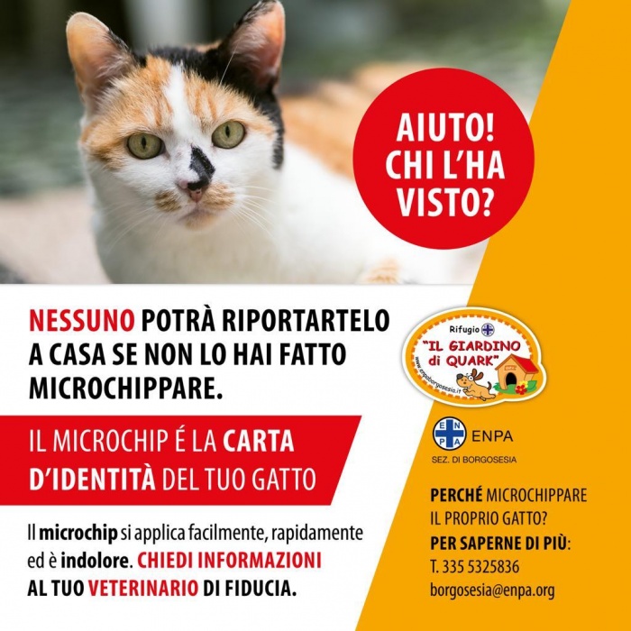 AIUTO CHI L'HA VISTO?