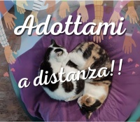 adottami a distanza