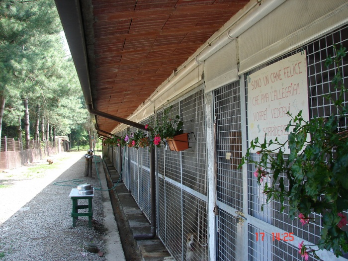 I cani ospiti al Giardino di Quark