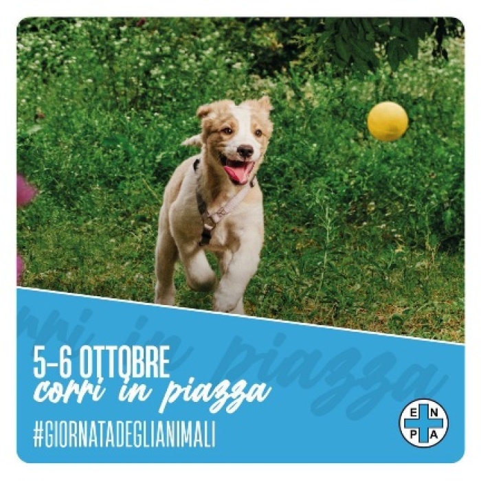 Giornata degli animali-Borgosesia sabato 5 ottobre