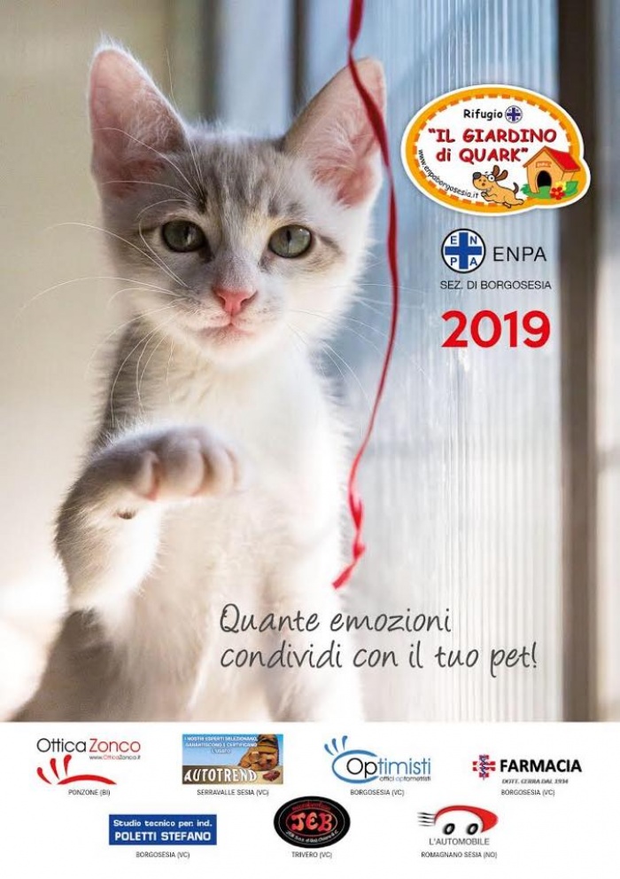 CALENDARIO 2019... un altro anno insieme!