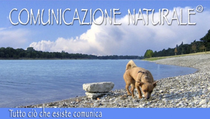 Una giornata speciale