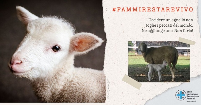 BUONA PASQUA... che lo sia per TUTTI!