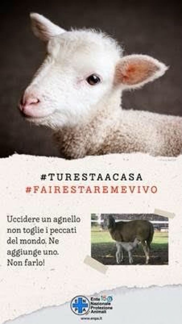 AUGURI DI BUONA PASQUA... FACCIAMO CHE LO SIA PER TUTTI GLI ESSERI VIVENTI!