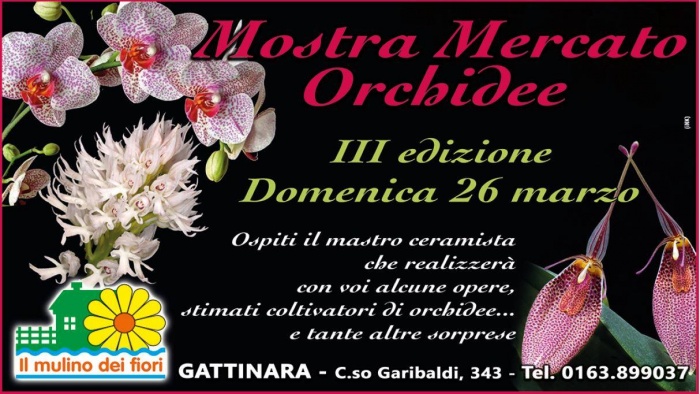Banchetto al Mulino dei Fiori di Gattinara