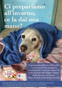 Un aiuto per l'inverno