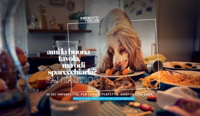 "Imperfetti cercasi"