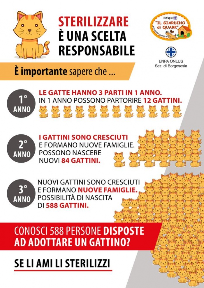 LA STERILIZZAZIONE... UNA SCELTA RESPONSABILE