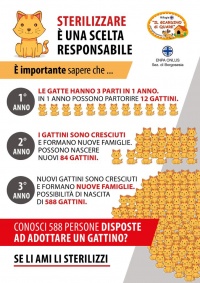 LA STERILIZZAZIONE... UNA SCELTA RESPONSABILE