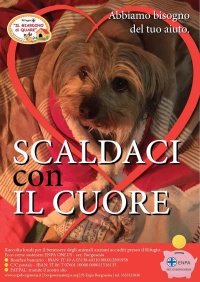 RACCOLTA FONDI PER IL BENESSERE DEGLI ANIMALI ANZIANI ACCUDITI PRESSO IL RIFUGIO
